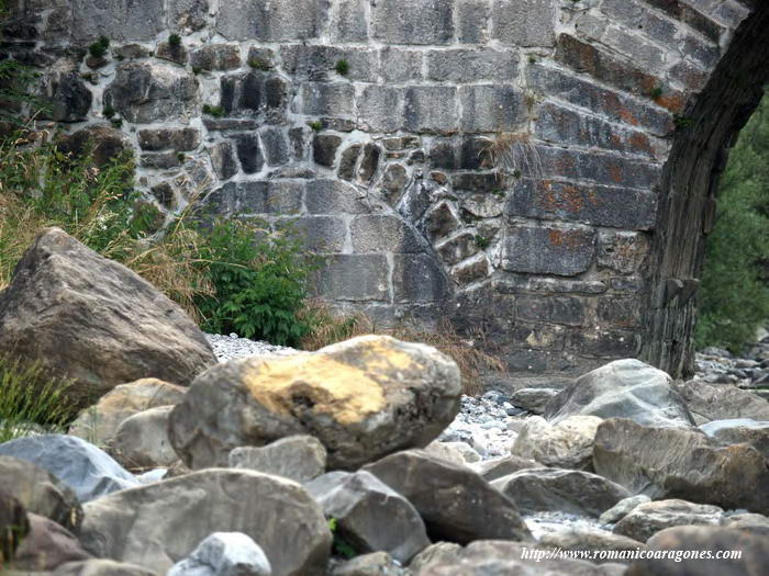 DETALLE APEO EN ORILLA DERECHA